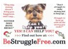 Have you seen this!