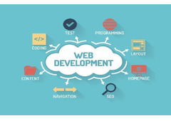 Website Development in Jaipur