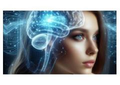 Automated Home Business! Up To $1500 Per Sale!!