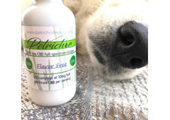 Find CBD Full Spectrum Tincture for Pets
