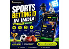 Sports Betting ID in India – Explore Dreamplay1 Online