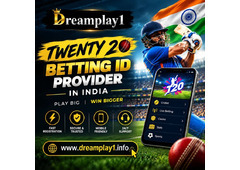 How to Choose a Twenty 20 Betting ID Provider in India?