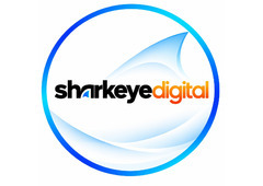 SEO Company in Ludhiana - Shark Eye Digital